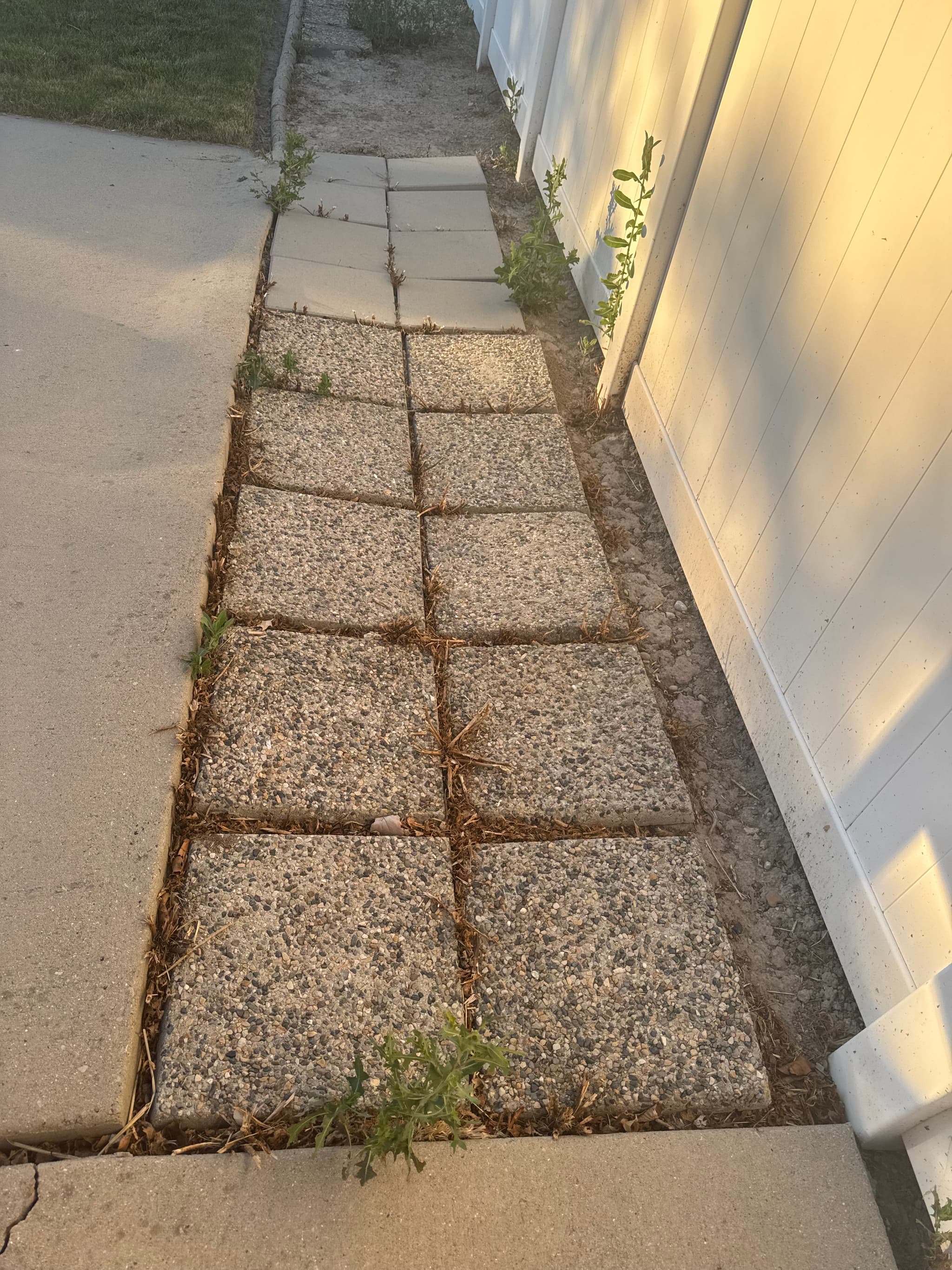 Jardín antes de la transformación - Proyecto 2